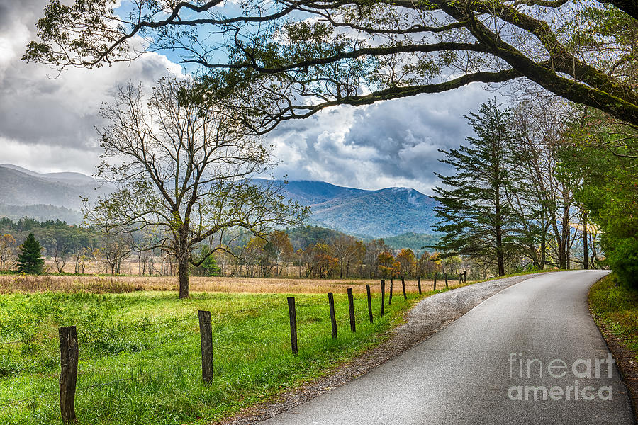Scenic Road in Cades Cove Photograph - Fence and Trees in Cades Cove in Smoky Mountains by Jimmy Pappas
