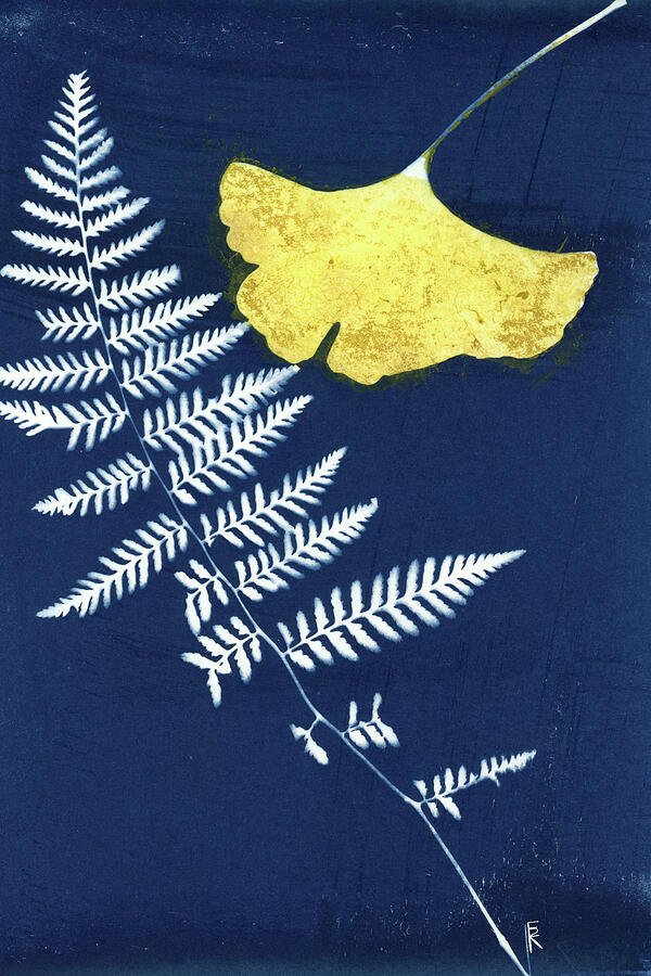 Fern and Ginkgo Photograph by Elizabeth Reich