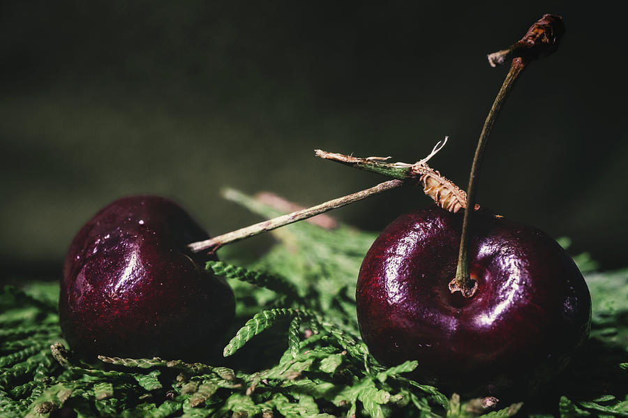 Festive Cherries Photograph by Jason Fink