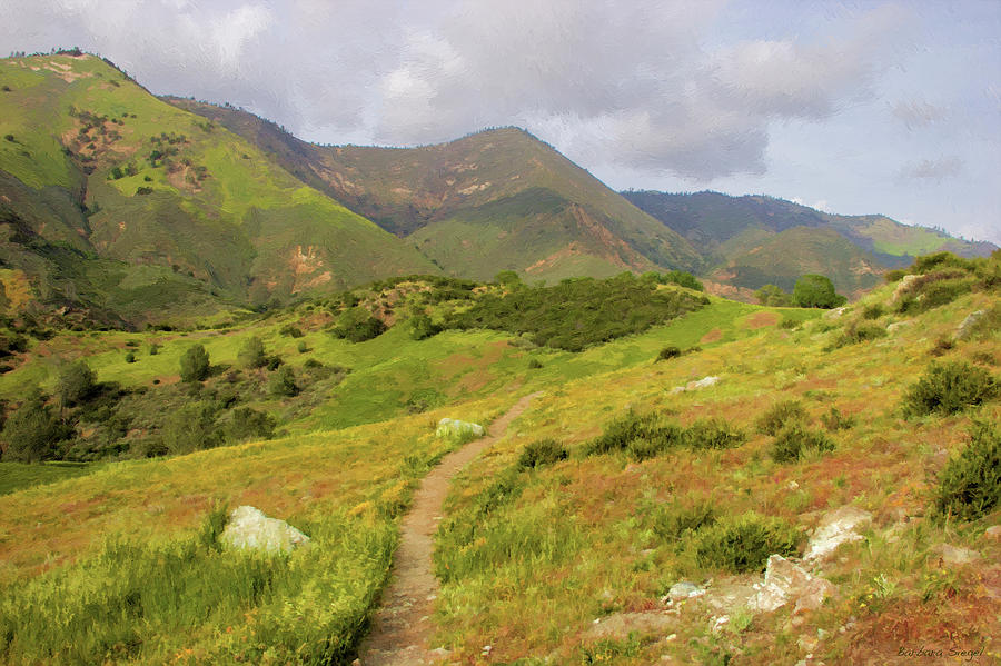 Figueroa Photograph by Barbara Siegel