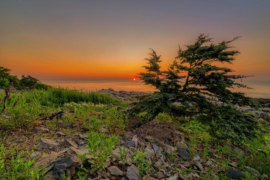 Finding Tranquility Photograph by Penny Polakoff