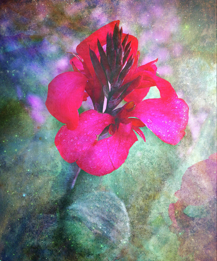 Fine Art Textured Flower Mixed Media by Dan Sproul