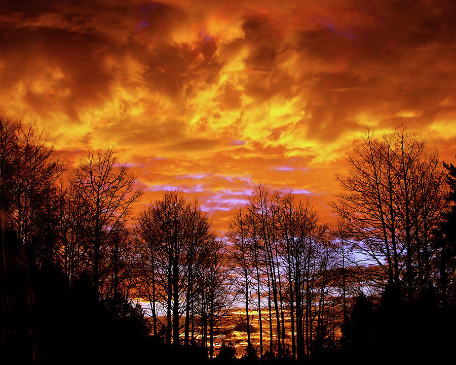 Fire in the Sky Cloudcroft New Mexico USA Photograph by Tommy Farnsworth