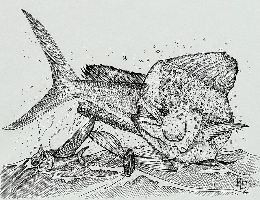 Dolphin Fish and Flying Fish Encounter Drawing - Fish Out Of Water by Mark Ray
