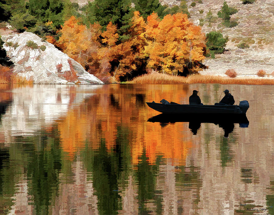 Fishing Buddies Photograph by Barbara Siegel