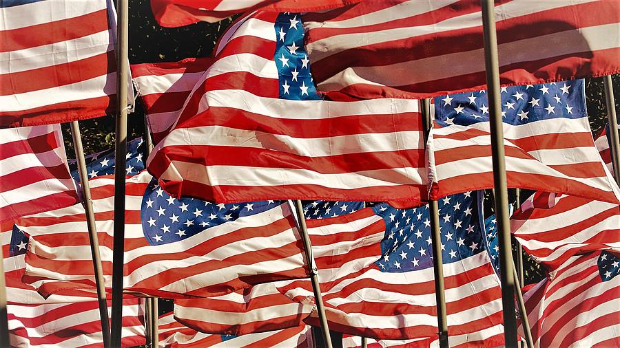Flag Cluster4 Photograph by John Linnemeyer