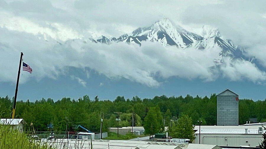 Flag Waving Photograph by Harry Banks