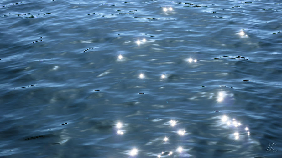 Flickering Water Fairies Photograph by D Lee