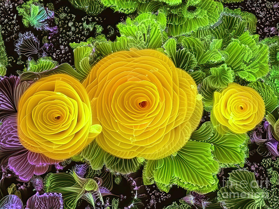 Floral Abstract 6 Digital Art by William Gunn