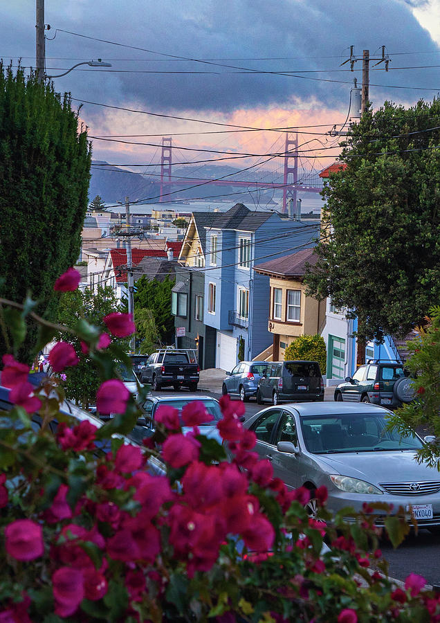 Floral Delight Photograph by Louis Raphael