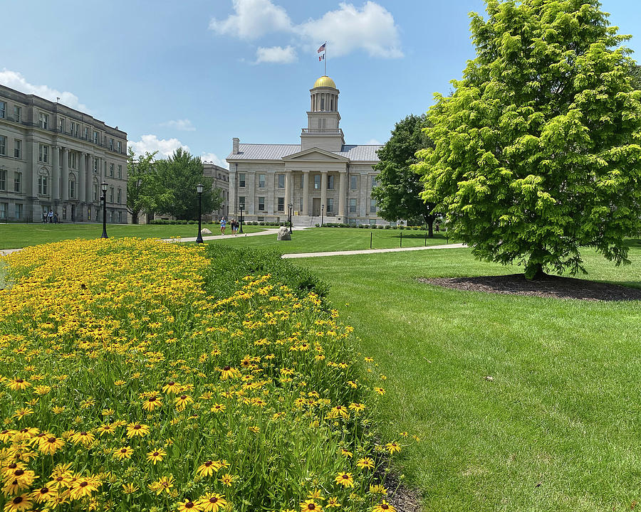 Flowers On Old Capital Photograph by Robert Allen Hill