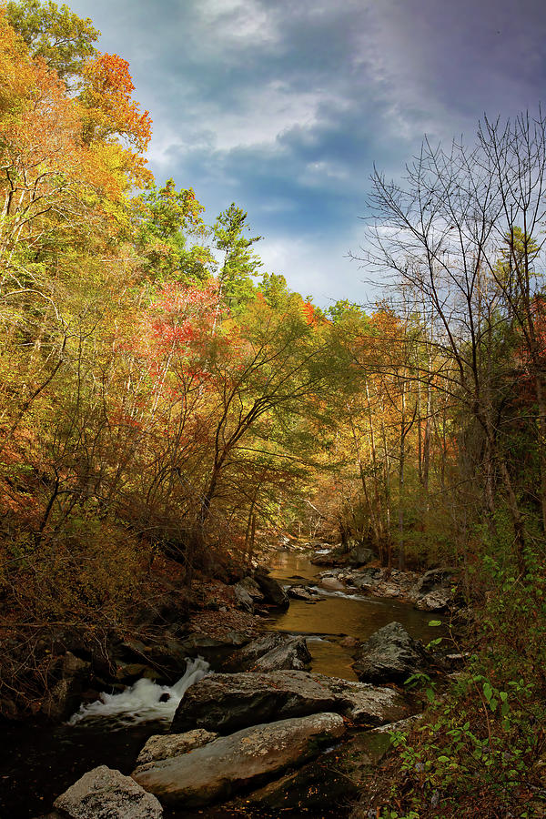 Flowing From Light Photograph by Gina Fitzhugh