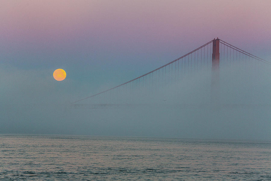 Fog Dance Photograph by Louis Raphael