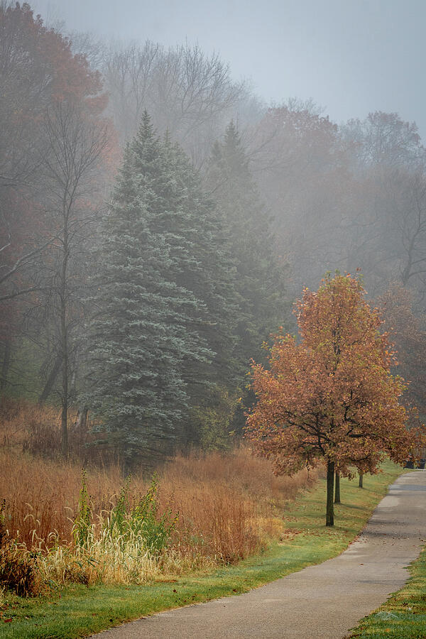 Foggy Fall_3451 Photograph by Mark Triplett