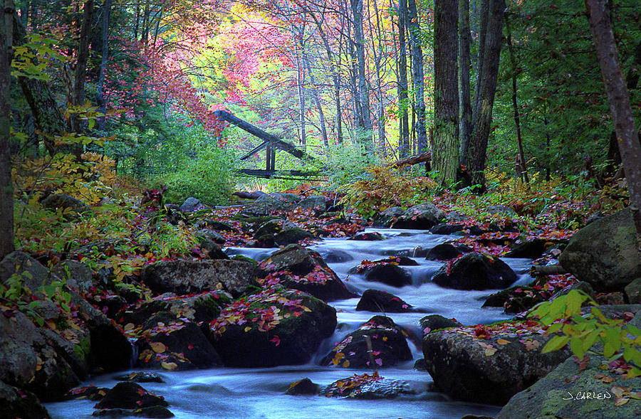 Footbridge Photograph by Jim Carlen