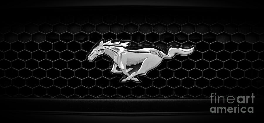Ford Mustang Emblem on Car Grille Photograph - Ford Mustang Emblem on Car Grille by Stefano Senise