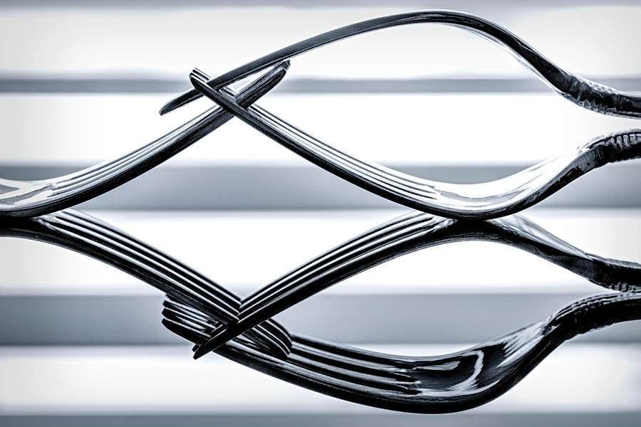 Forks Reflections Photograph by Susan Candelario