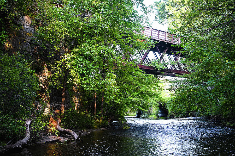 Fort River Trestle Photograph by Steven Nelson