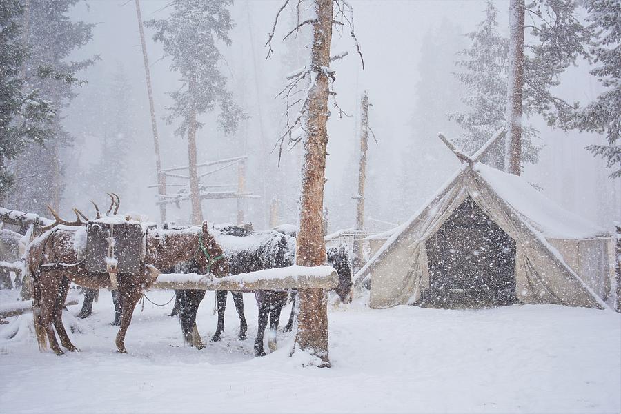 Fourth Day of Winter Photograph by Alden White Ballard