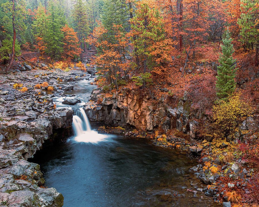 Fowler Falls Autumn Mist 4X5 Photograph by Mike Lee