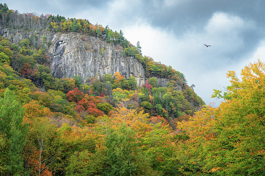 Autumn Foliage on Rocky Hillside Photograph - Frankenstein Cliff by Dave King