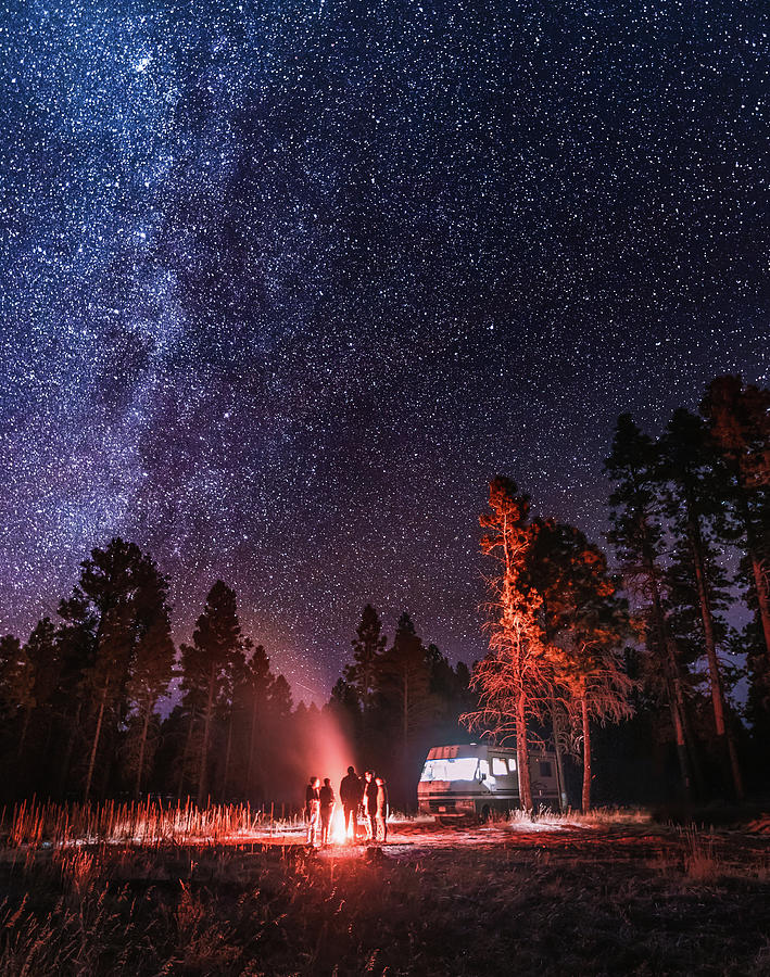 Freedom to Dream Photograph by Shannon Williams