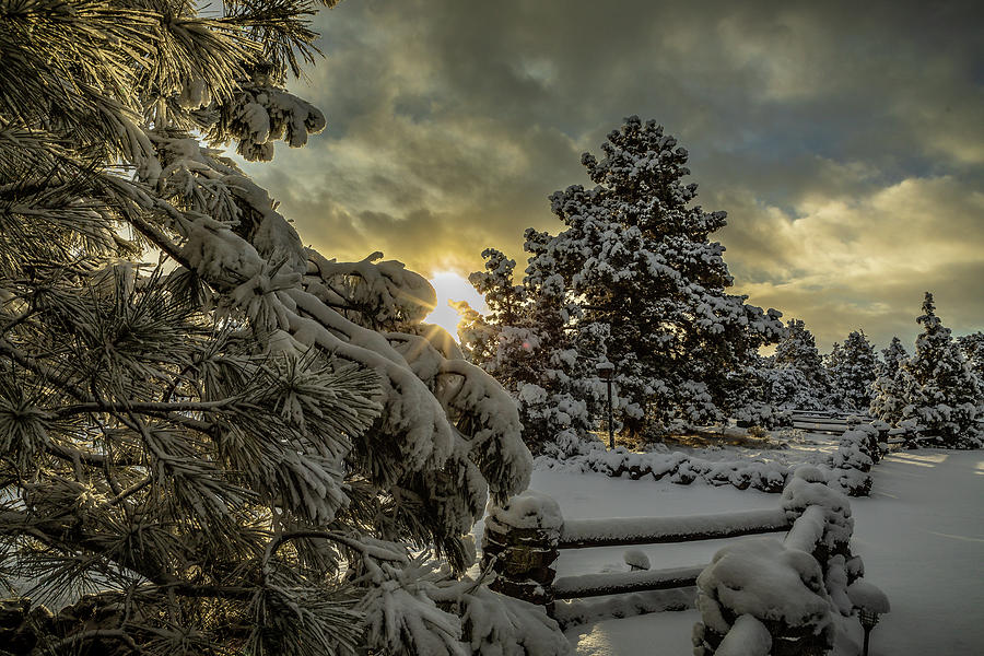 Fresh Start Photograph by Tim Lyden