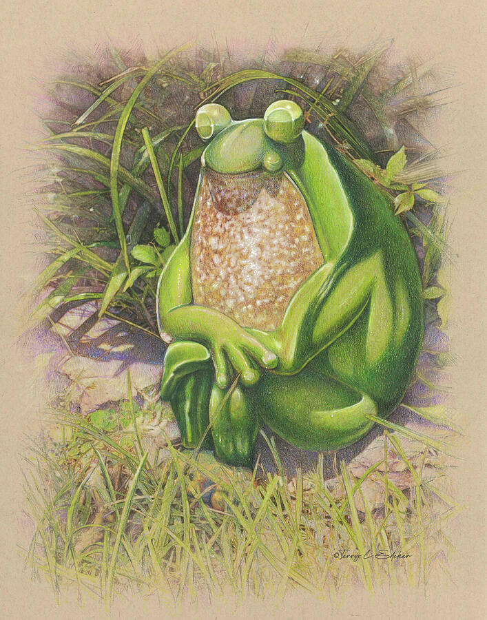 Frog Chill Drawing by Terry Edeker