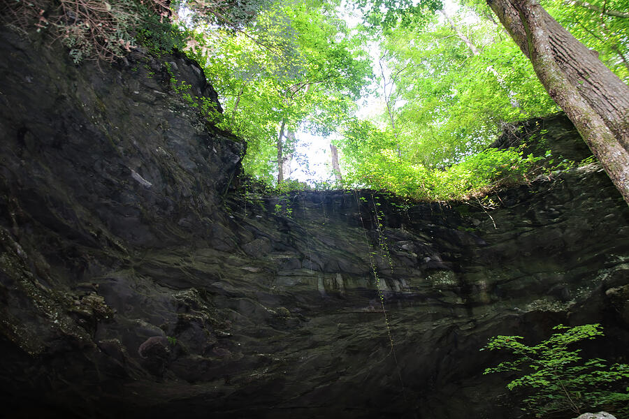 From The Bottom Of The Gorge Photograph by Flees Photos
