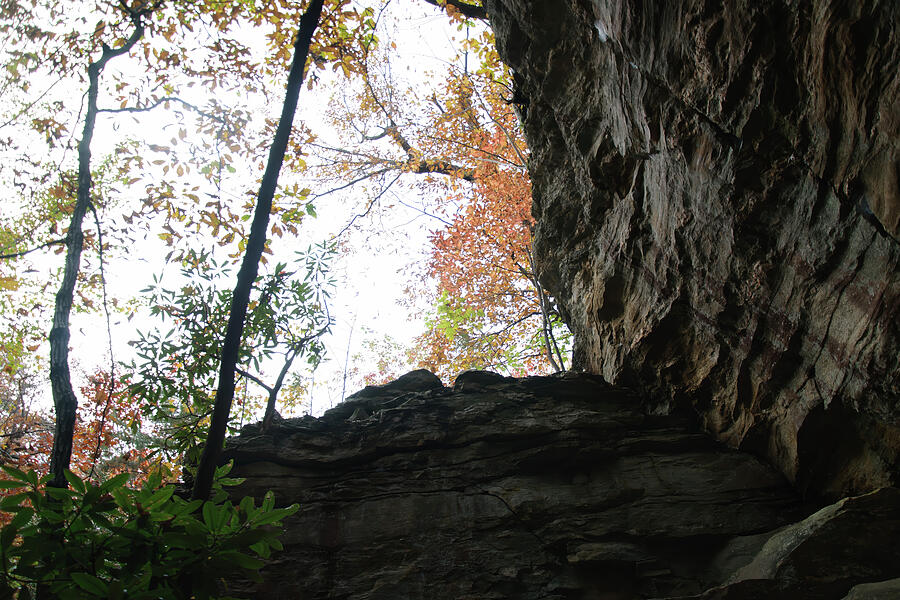 From The Bottom Of The Gulch #2 Photograph by Flees Photos