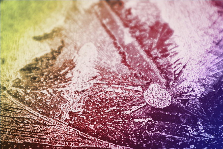 Frozen Breath Photograph by D Lee