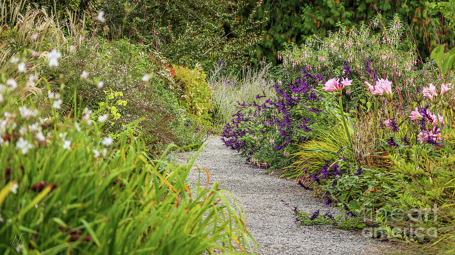 Garden Flower Path Photograph by D Lee