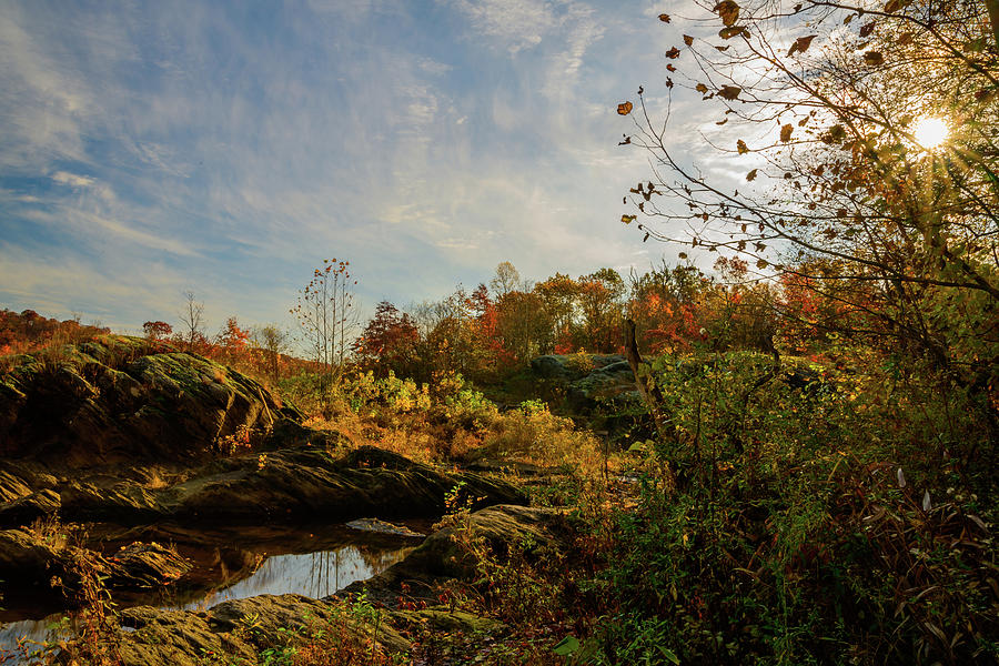 Garden Sunrise Photograph by Anthony Hightower