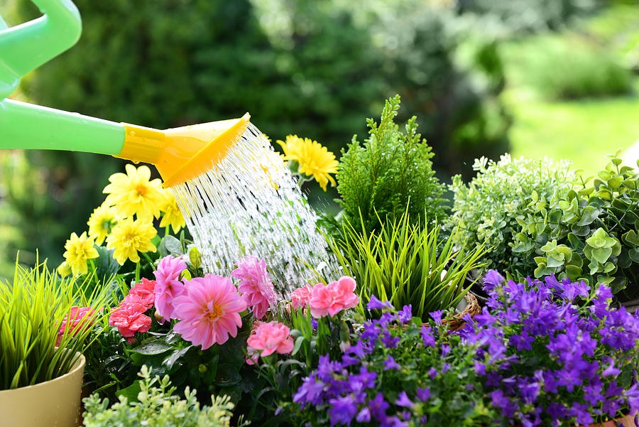 Gardening Photograph by Elenaleonova