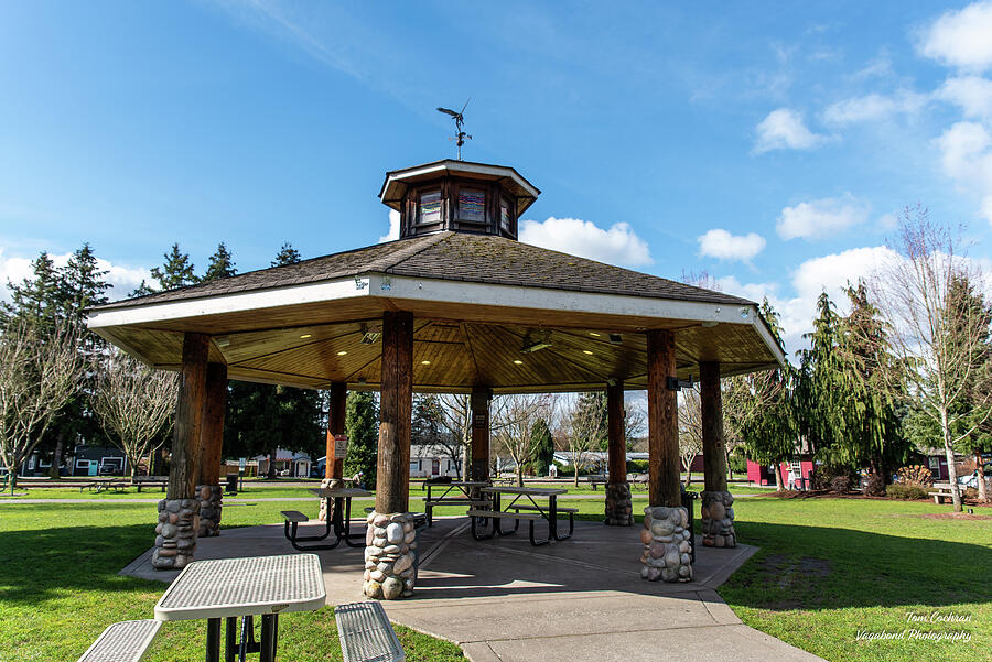 Gazebo at Legion Park in Arlington Photograph by Tom Cochran
