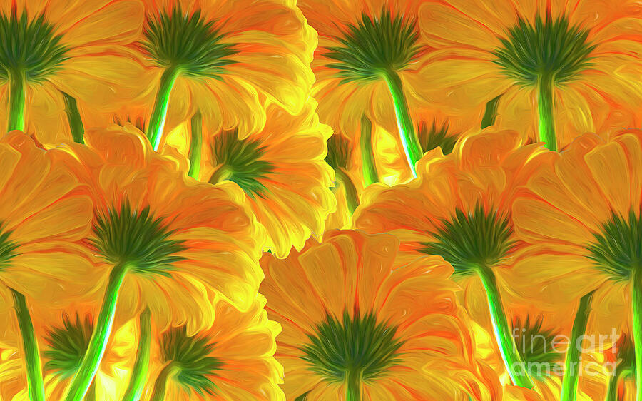 Gerbera Canopy Digital Art by William Gunn