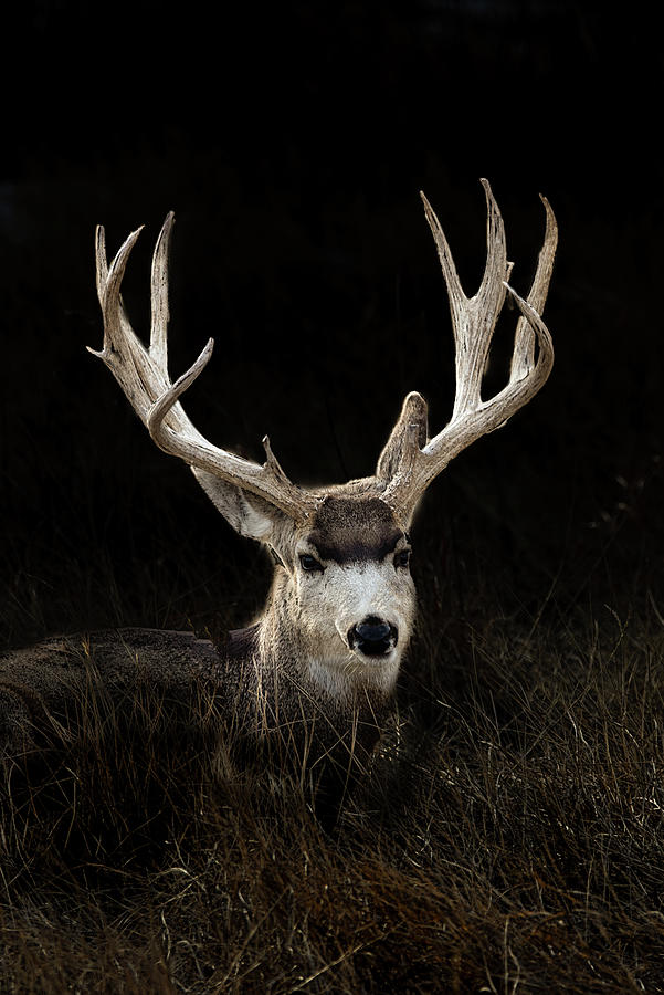 Ghost Photograph by Jon Snyder