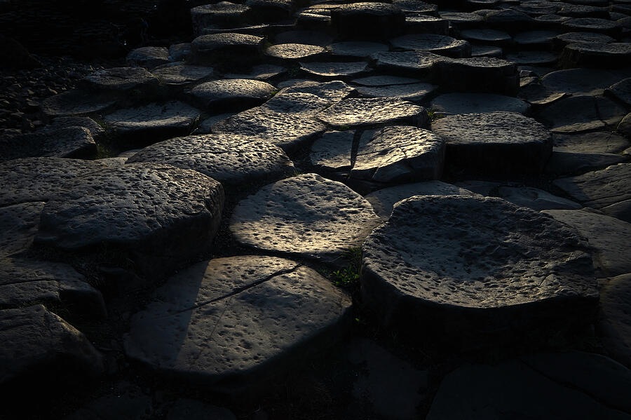 Giants Causeway at Sunset Photograph by Steven Nelson
