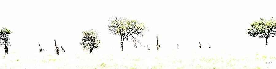 Giraffes in Open Savannah Photograph - Giraffes in Open Savannah by Bruce Block