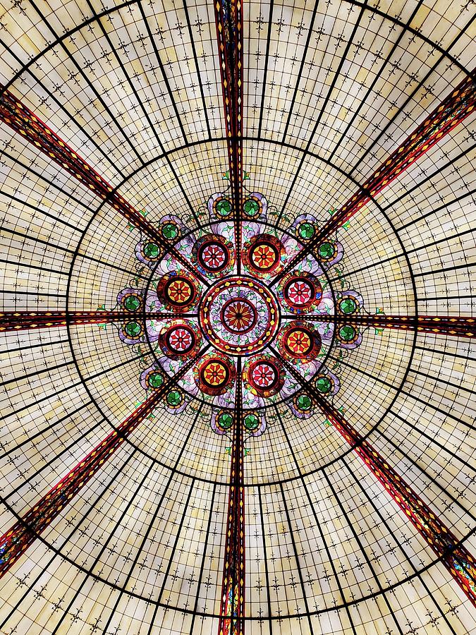 Glass Elegance Photograph by Annalisa Rivera-Franz