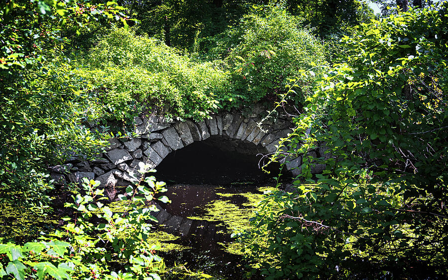Stone Bridge in Lush Forest Photograph - Glimpse of Sands Bridge by Steven Nelson