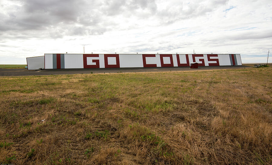 Go Cougs Photograph by Tom Cochran