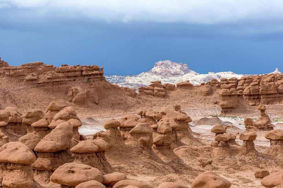 Goblin Valley State Park, Utah Photograph by Diane Moller