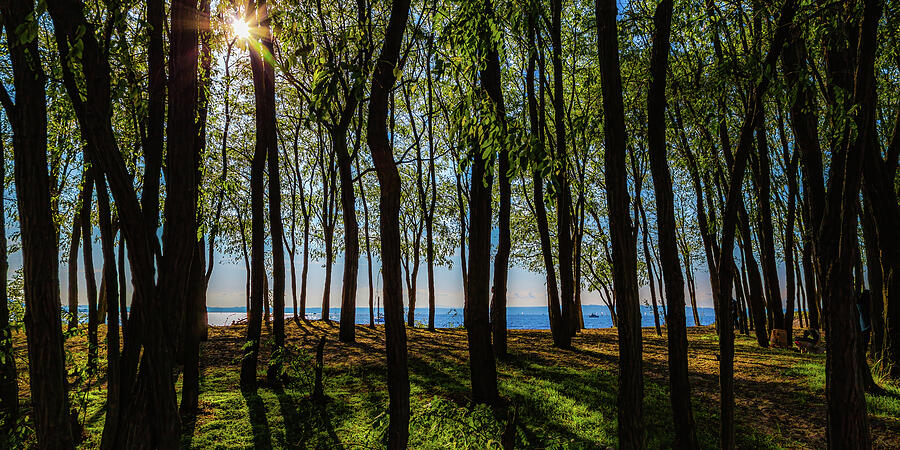 Golden Gardens Seattle Washington. Photograph by Tommy Farnsworth