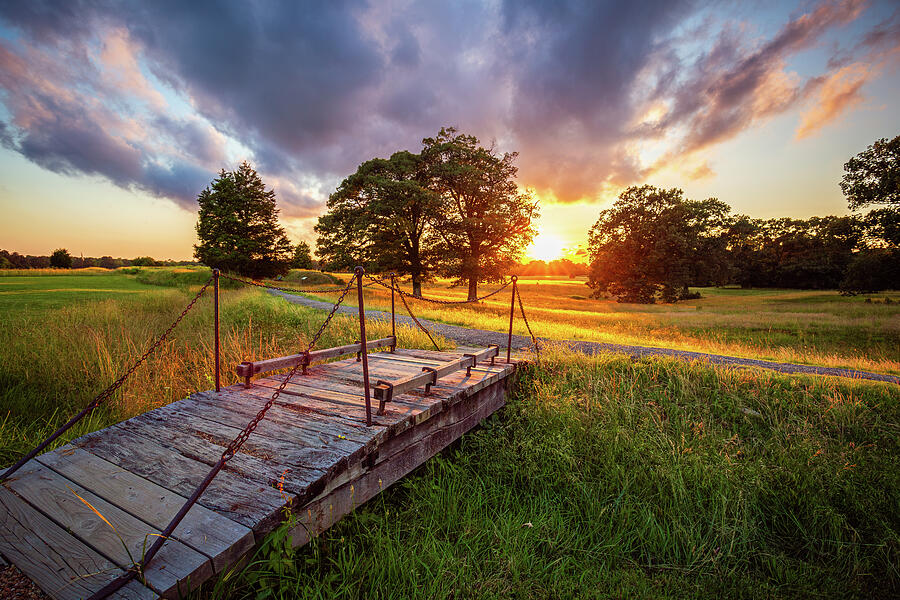 Golden Glow at Yorktown Battlefield Photograph by Rachel Morrison