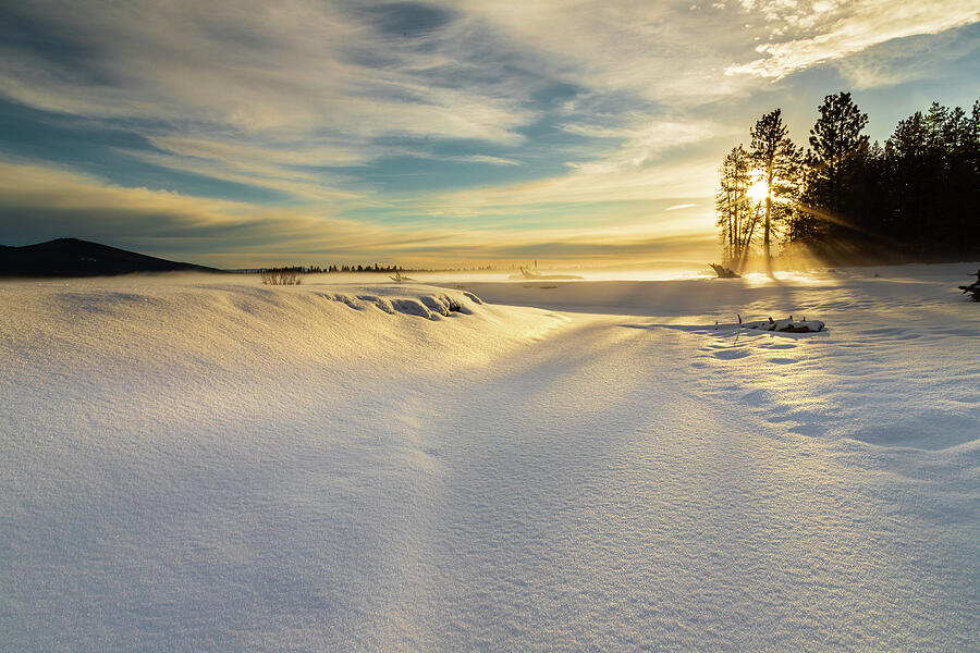 Golden Haze - McCoy Flat - Lassen County California Photograph by Mike Lee