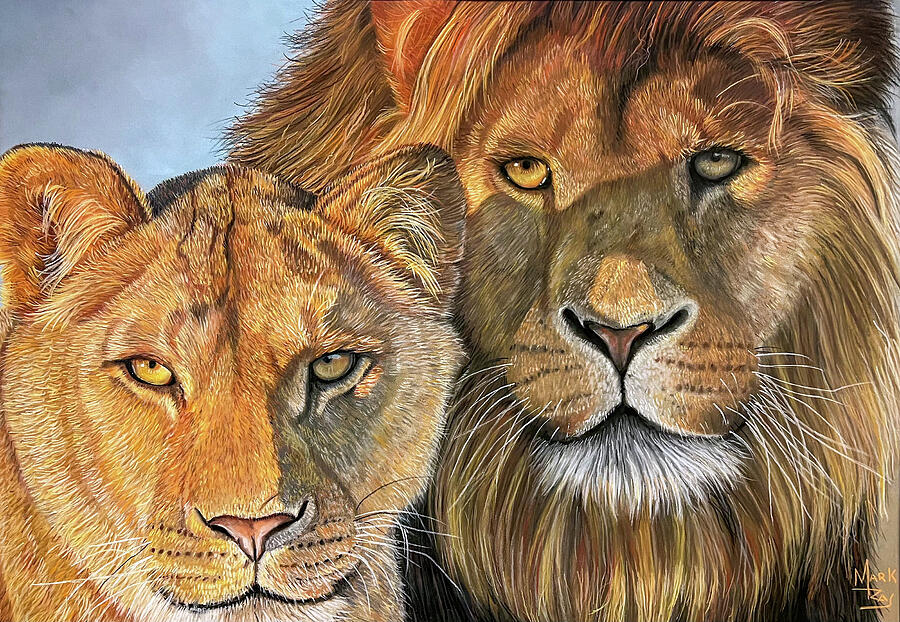 Golden Hour Pastel by Mark Ray