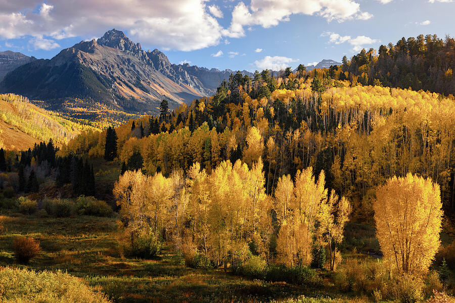 Golden in Colorado Photograph by Kevin Schwalbe