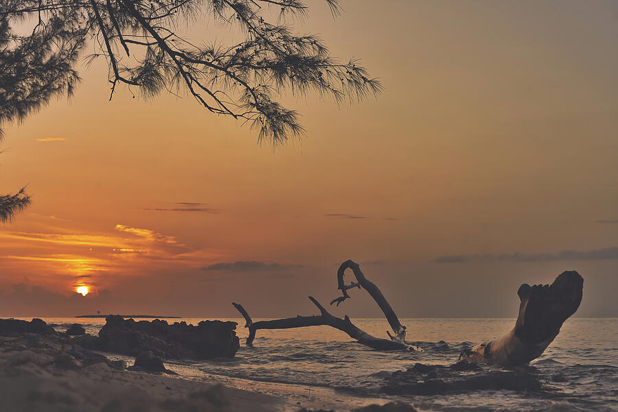 Golden Sandz Photograph by Gian Smith