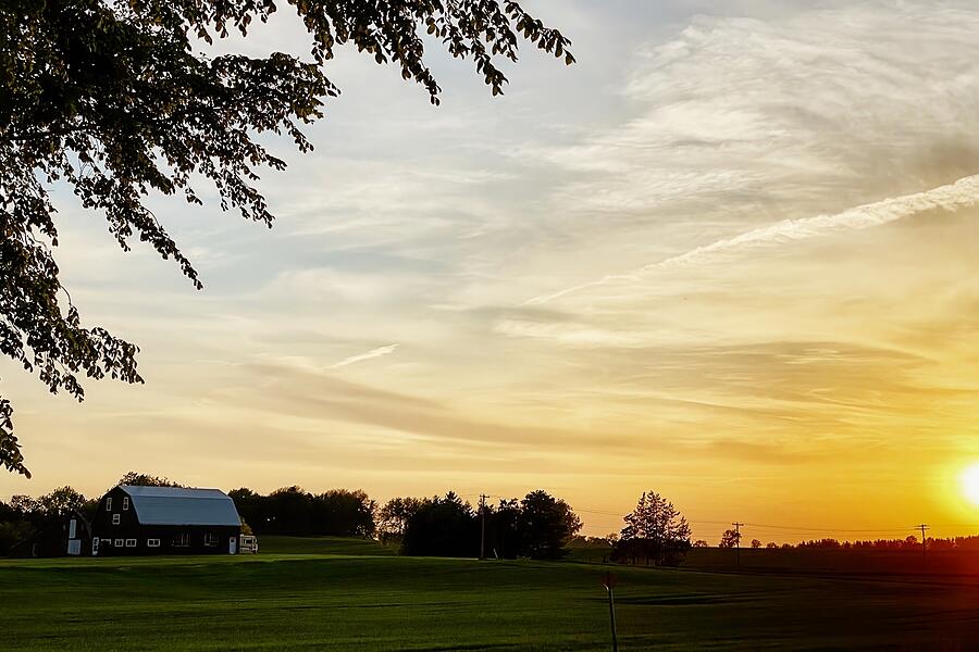 Golden Tranquility on Green Fields Photograph by Travel Essayist